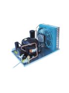 Rivagold condensing unit with Ranco high pressure switch 251W
