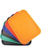 Fast food tray 250 x 350 mm, brown