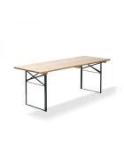 Beer table 220x80x78cm (WxDxH), brewery quality, green / wood