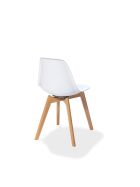Keeve stacking chair white without armrests, birch wood frame and plastic seat, 47x53x83cm (WxDxH), 505F01SW