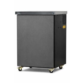 Mobile beer bar, professional version Complete Set with cooler and beercooler 60l/h