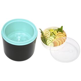 PROFESSIONAL ICE CUBE AND FOOD CONTAINER MADE OF PLASTIC