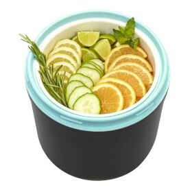 PROFESSIONAL ICE CUBE AND FOOD CONTAINER MADE OF PLASTIC