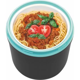 PROFESSIONAL ICE CUBE AND FOOD CONTAINER MADE OF PLASTIC