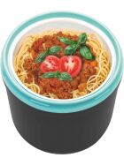 PROFESSIONAL ICE CUBE AND FOOD CONTAINER MADE OF PLASTIC