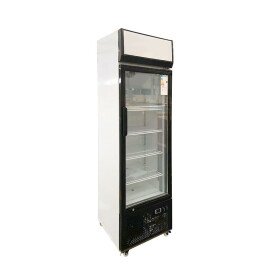 Skyrainbow Getränkekühlschrank305 Liter -2° bis +10° C
