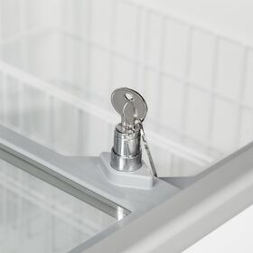 Tefcold Eiscreme-Gefriertruhen | IC502SC