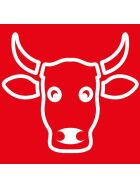 Stalgast filleting knife, HACCP, red handle, stainless steel blade 16 cm