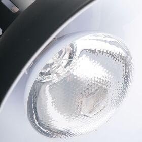Heat lamp for ceiling mounting, black, 0.25 kW, Ø 290 mm